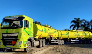 Investimentos em sustentabilidade refletem decisões estratégicas das empresas