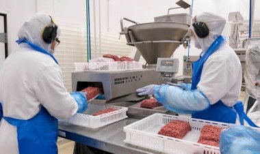Alfama projeta faturar R$ 385 milhões em 2026 impulsionada por carnes porcionadas e franquias
