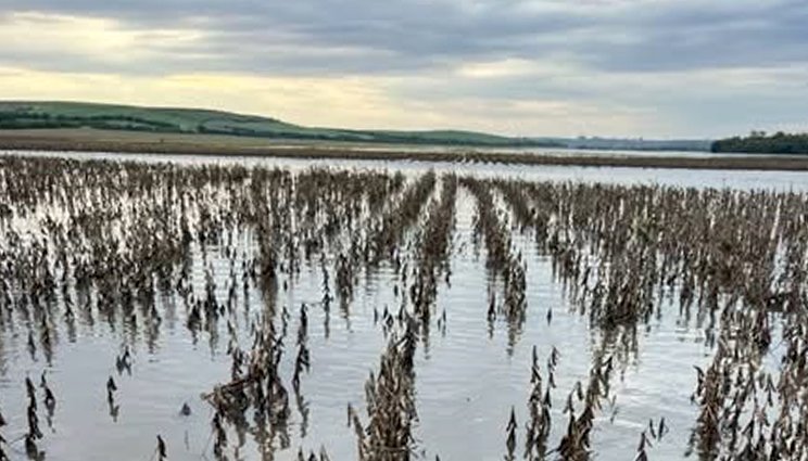 Chuva expressiva no Sul mantém solo encharcado e dificulta operações agrícolas