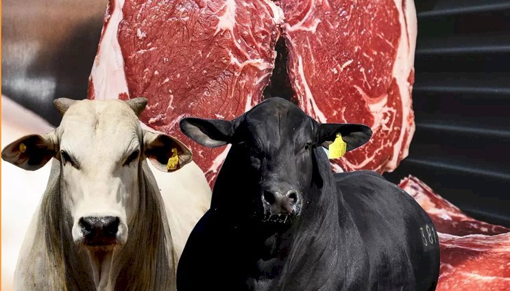 ABIEC e ApexBrasil promovem encontro em Londres sobre carne bovina brasileira
